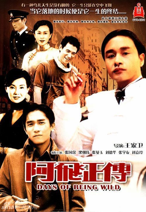 茨维考西萨克森应用技术大学InternationalBusinessCertificate